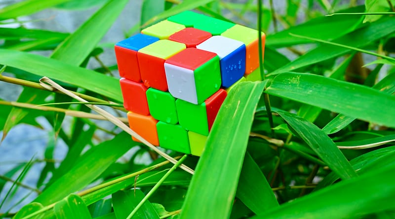 Green Skills